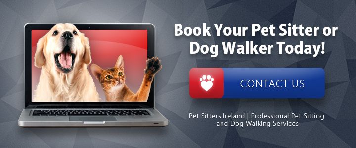 Book A Pet Sitter Dog Walker